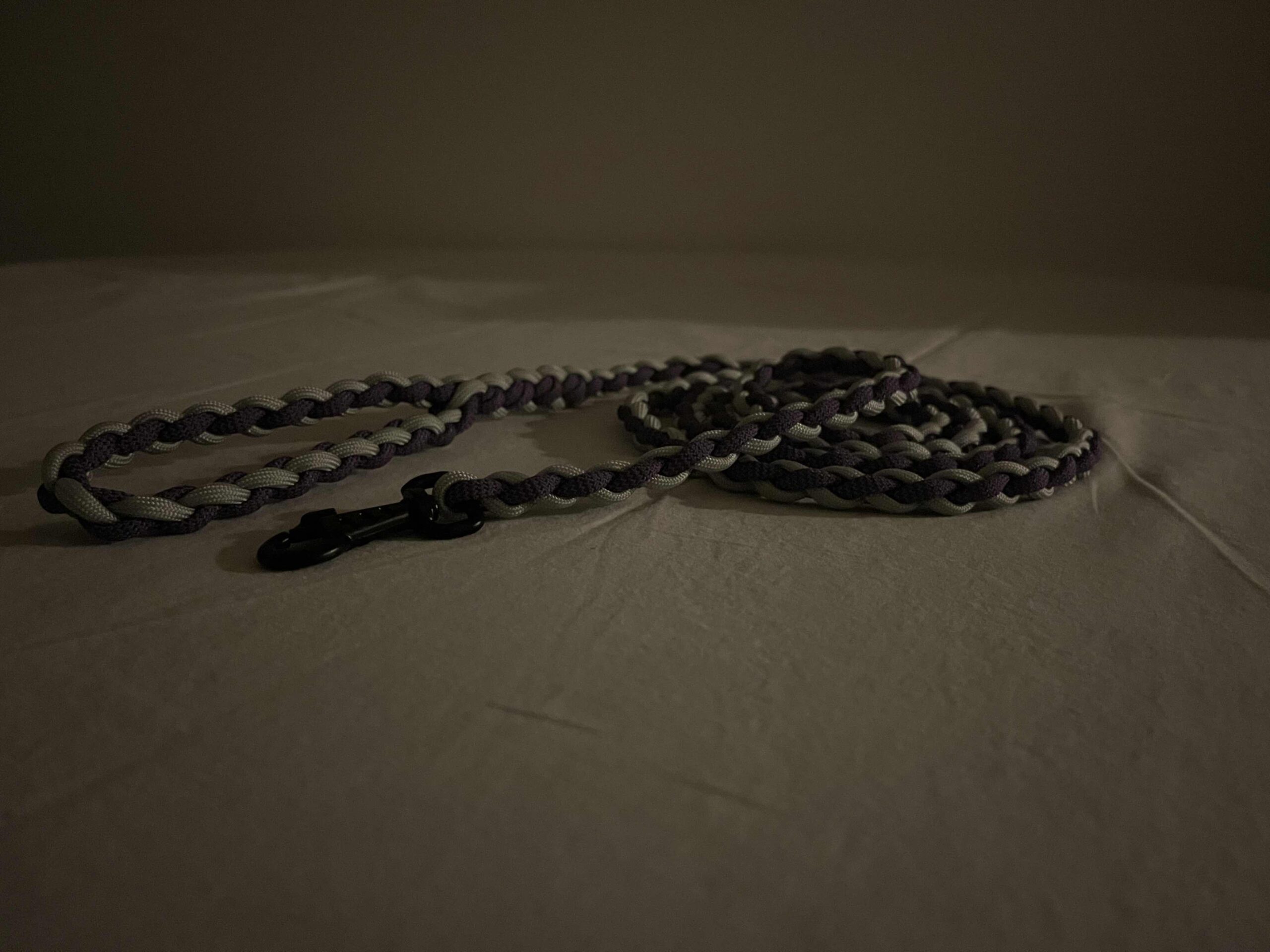 Paracord Everyday Dog Leash (4-Strand Braid) - Image 4
