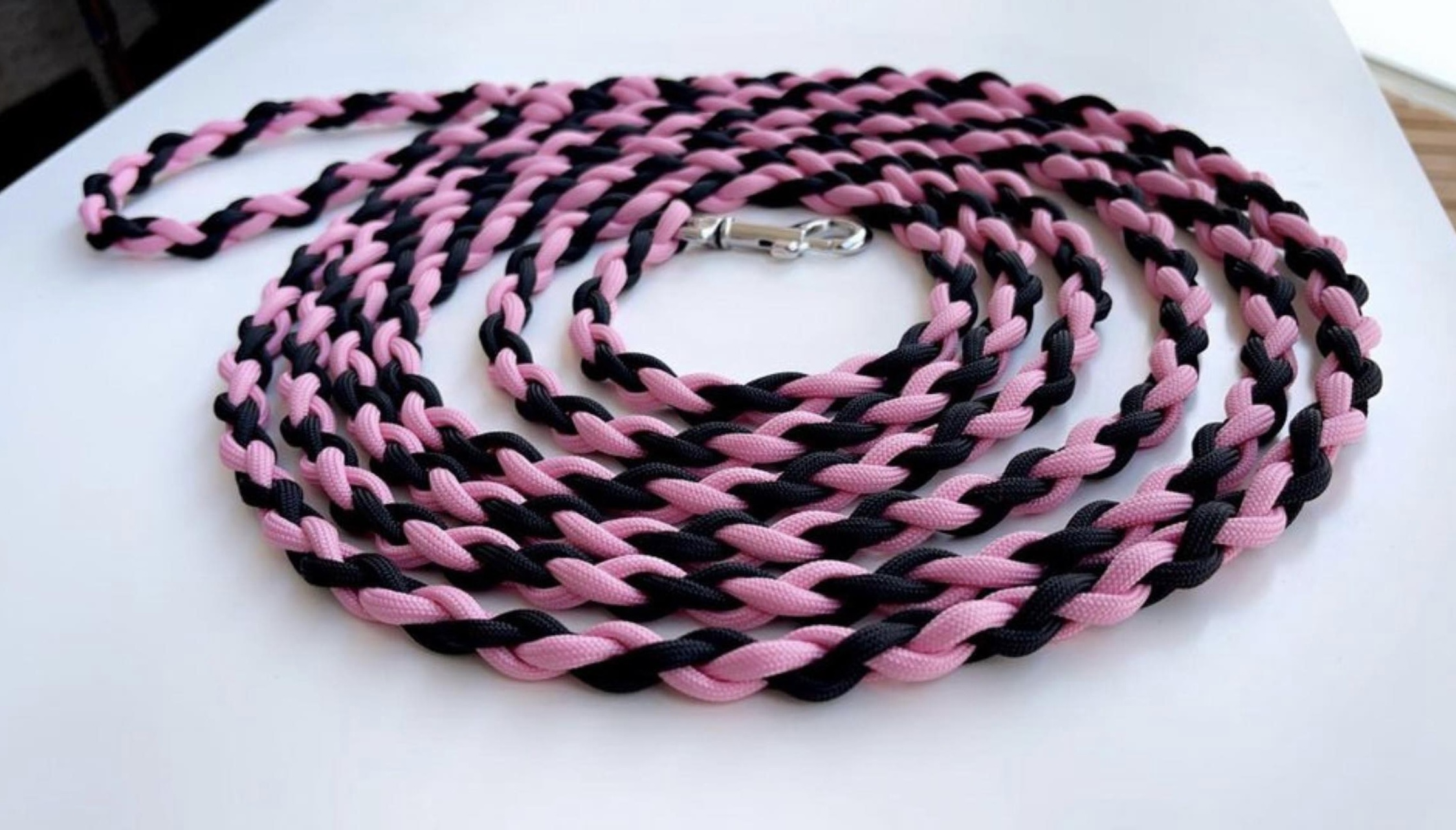 Paracord Everyday Dog Leash (4-Strand Braid) - Image 3