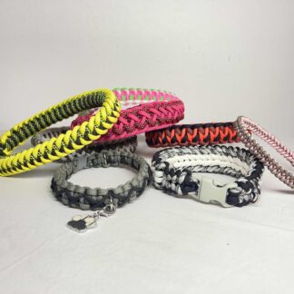 Dog Collars