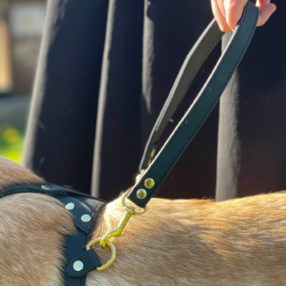 Assistance Dog Gear